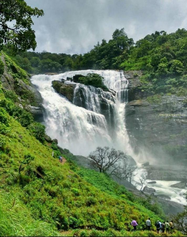 Coorg Coffee Park Farmstay Somvarpet Екстер'єр фото