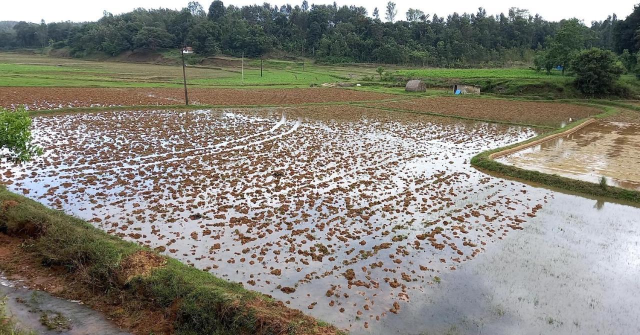 Coorg Coffee Park Farmstay Somvarpet Екстер'єр фото
