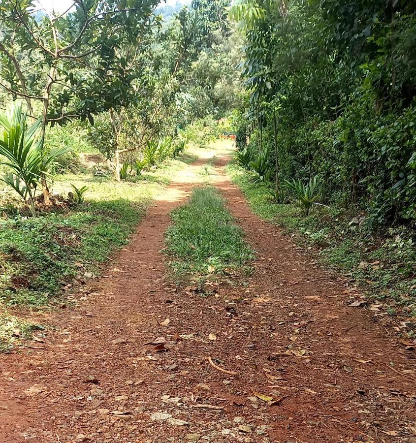 Coorg Coffee Park Farmstay Somvarpet Екстер'єр фото