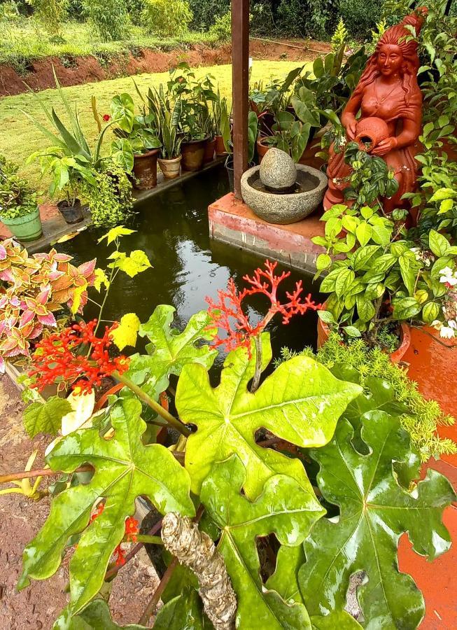 Coorg Coffee Park Farmstay Somvarpet Екстер'єр фото