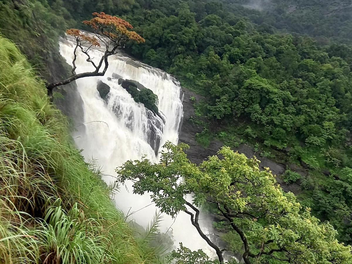 Coorg Coffee Park Farmstay Somvarpet Екстер'єр фото