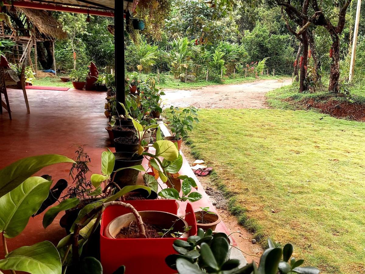Coorg Coffee Park Farmstay Somvarpet Екстер'єр фото
