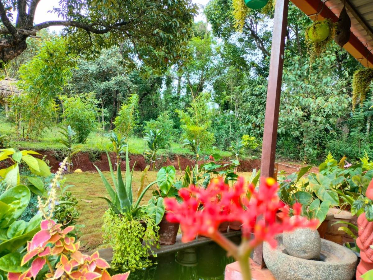 Coorg Coffee Park Farmstay Somvarpet Екстер'єр фото