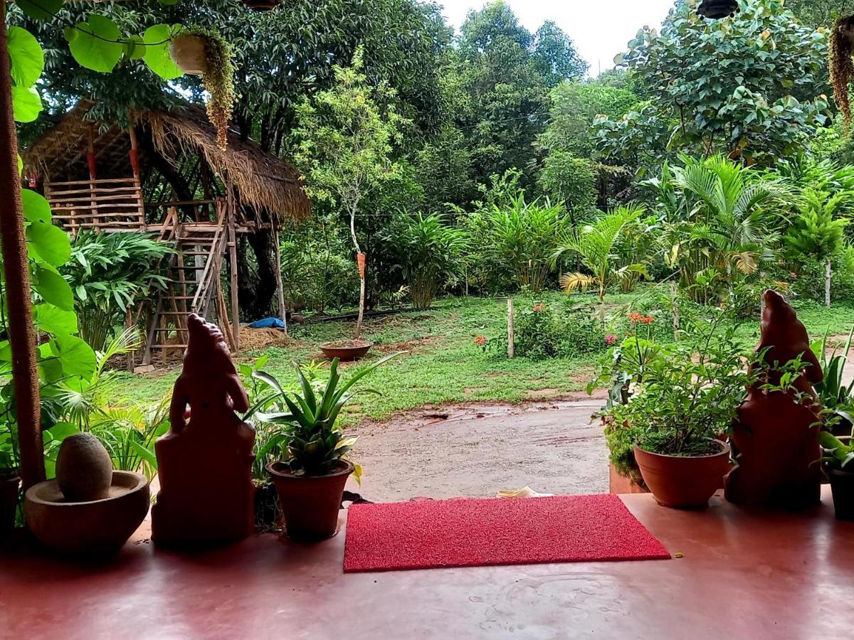 Coorg Coffee Park Farmstay Somvarpet Екстер'єр фото
