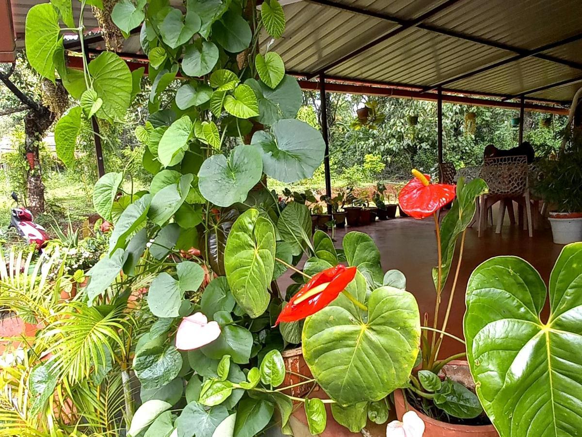 Coorg Coffee Park Farmstay Somvarpet Екстер'єр фото