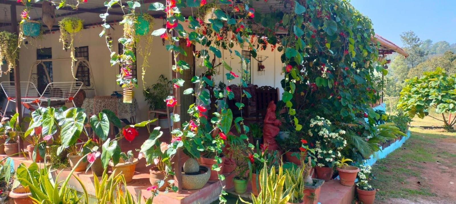 Coorg Coffee Park Farmstay Somvarpet Екстер'єр фото