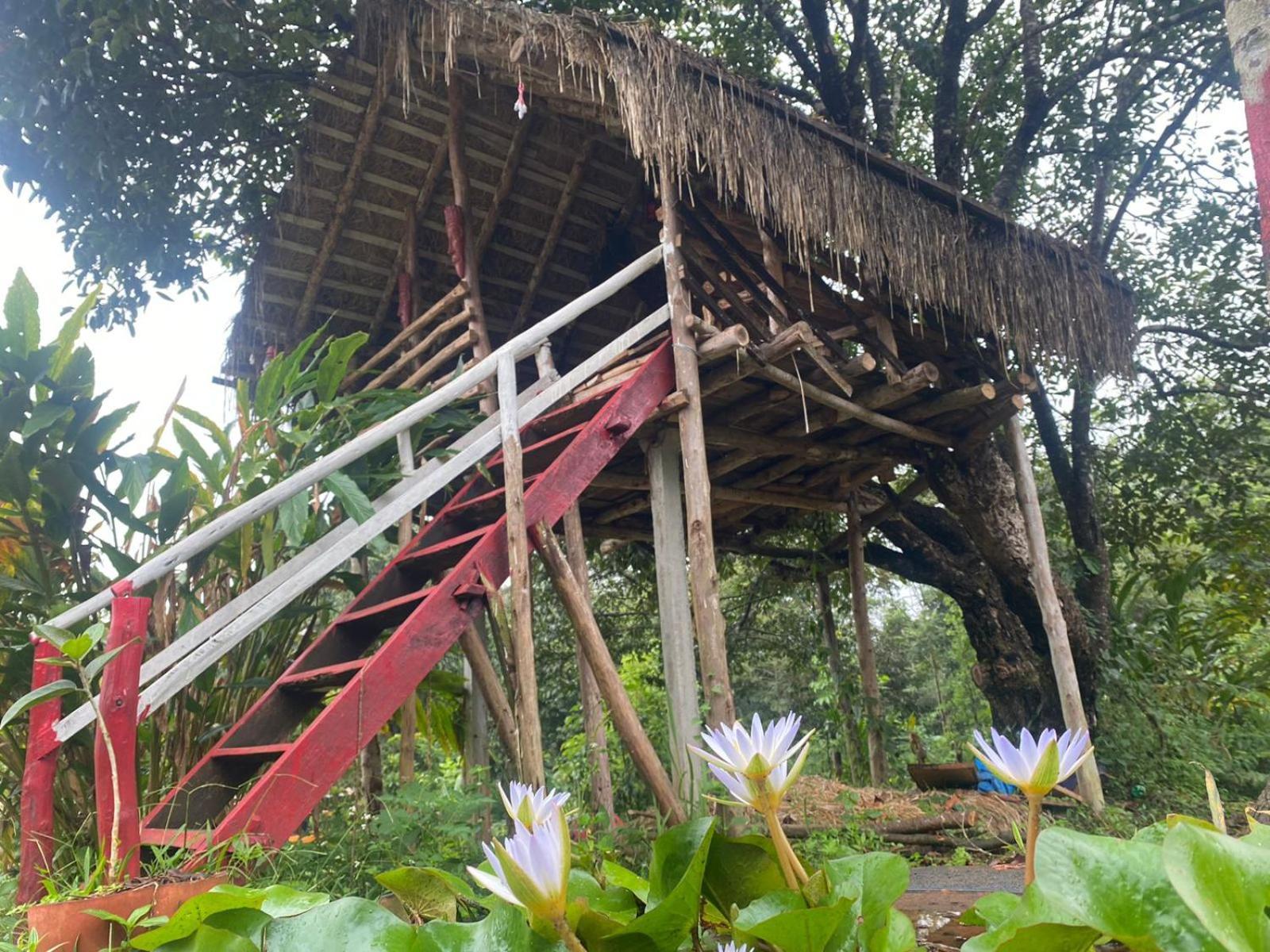 Coorg Coffee Park Farmstay Somvarpet Екстер'єр фото