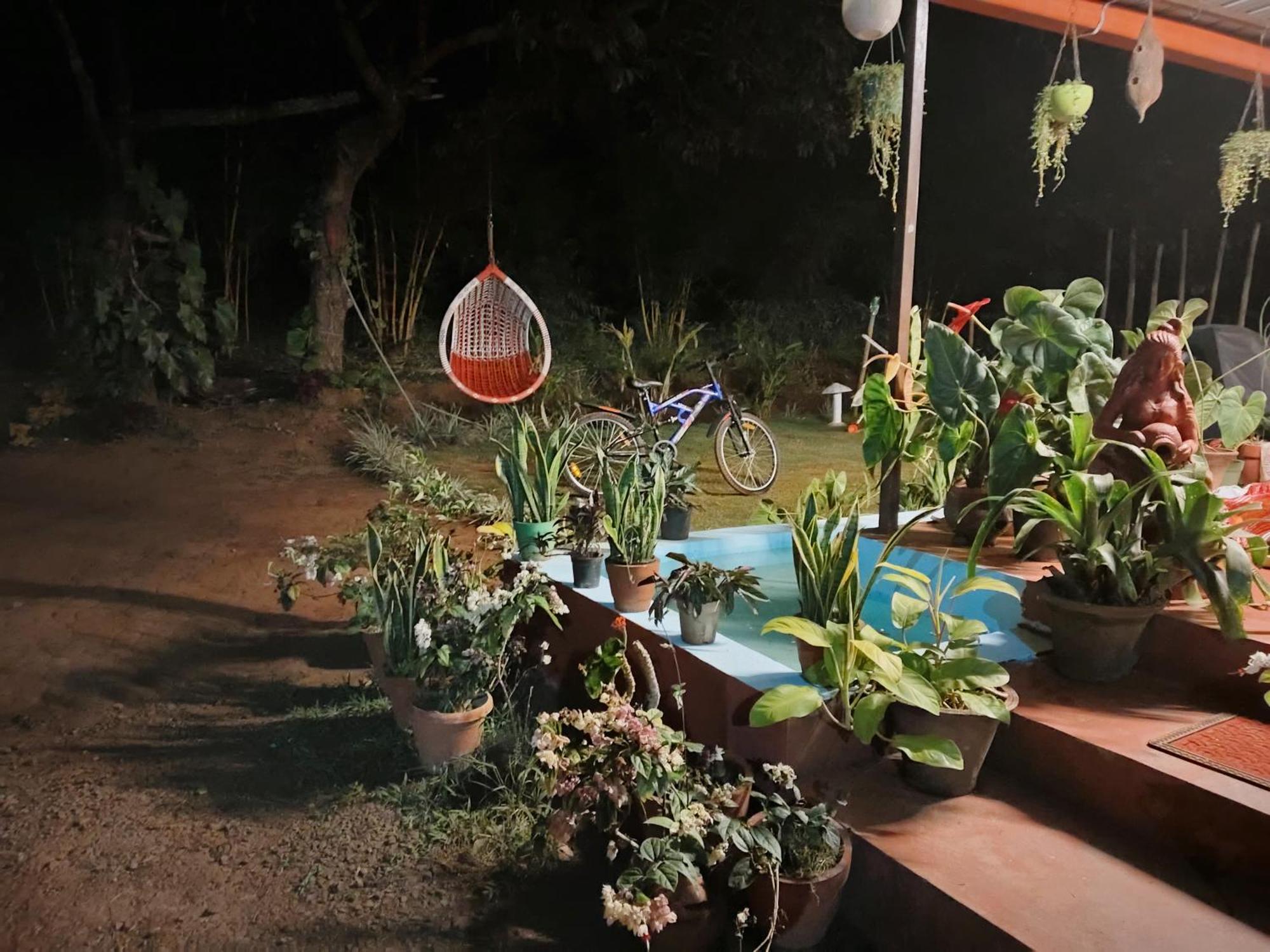 Coorg Coffee Park Farmstay Somvarpet Екстер'єр фото